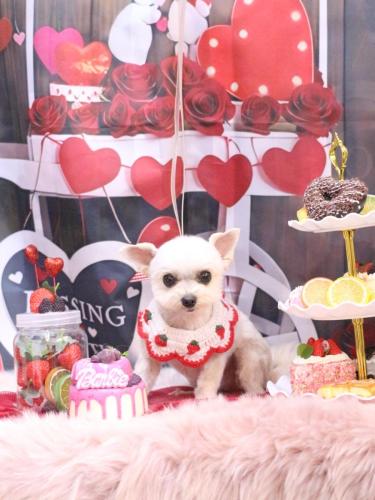 20250219じゅのんくん